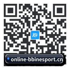 系统版 iOS 二维码